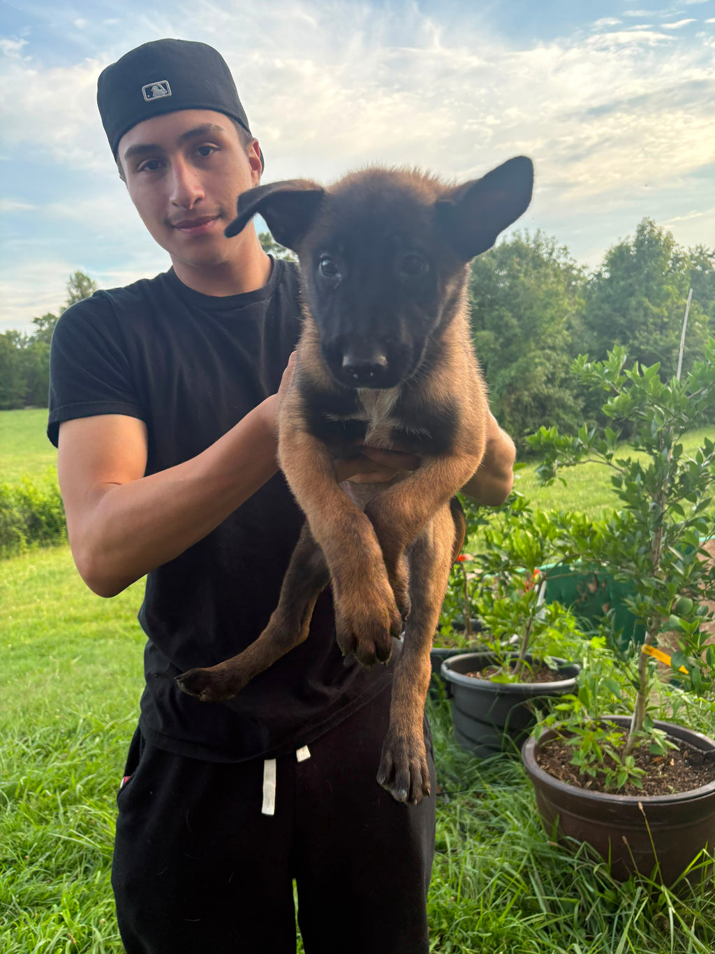 BELGIAN MALINOIS